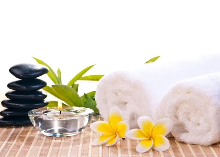 Panda Angkor Hostel Siem Reap
